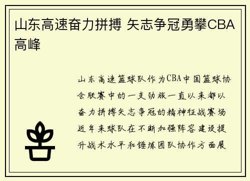 山东高速奋力拼搏 矢志争冠勇攀CBA高峰 山东高速奋力拼搏 矢志争冠勇攀CBA高峰
