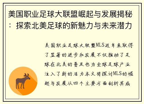 美国职业足球大联盟崛起与发展揭秘：探索北美足球的新魅力与未来潜力